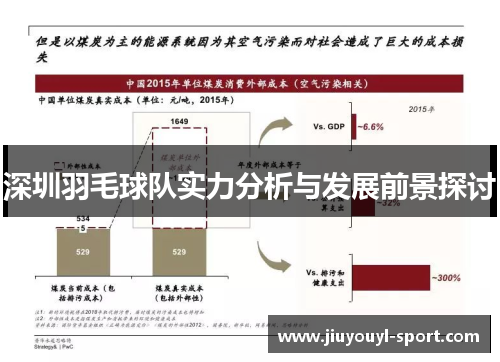 深圳羽毛球队实力分析与发展前景探讨