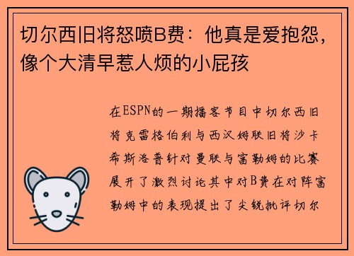 切尔西旧将怒喷B费：他真是爱抱怨，像个大清早惹人烦的小屁孩